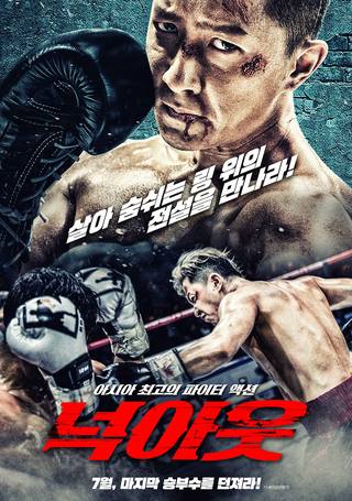 Knockout (قصا)