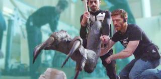 Dinosaur World (عالم الديناصورات)