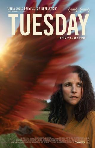 Tuesday (يوم الثلاثاء)
