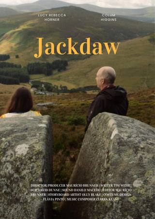 Jackdaw (الغراب)