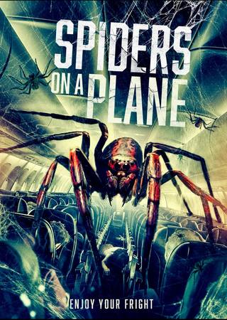 Spiders On A Plane (العناكب على متن الطائرة)