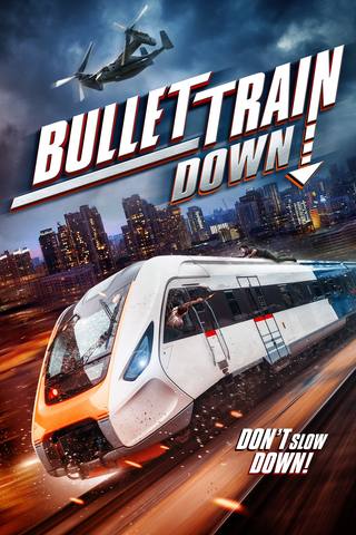 Bullet Train Down (قطار الرصاصة إلى أسفل)