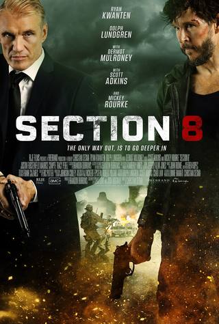 Section Eight (القسم الثامن)